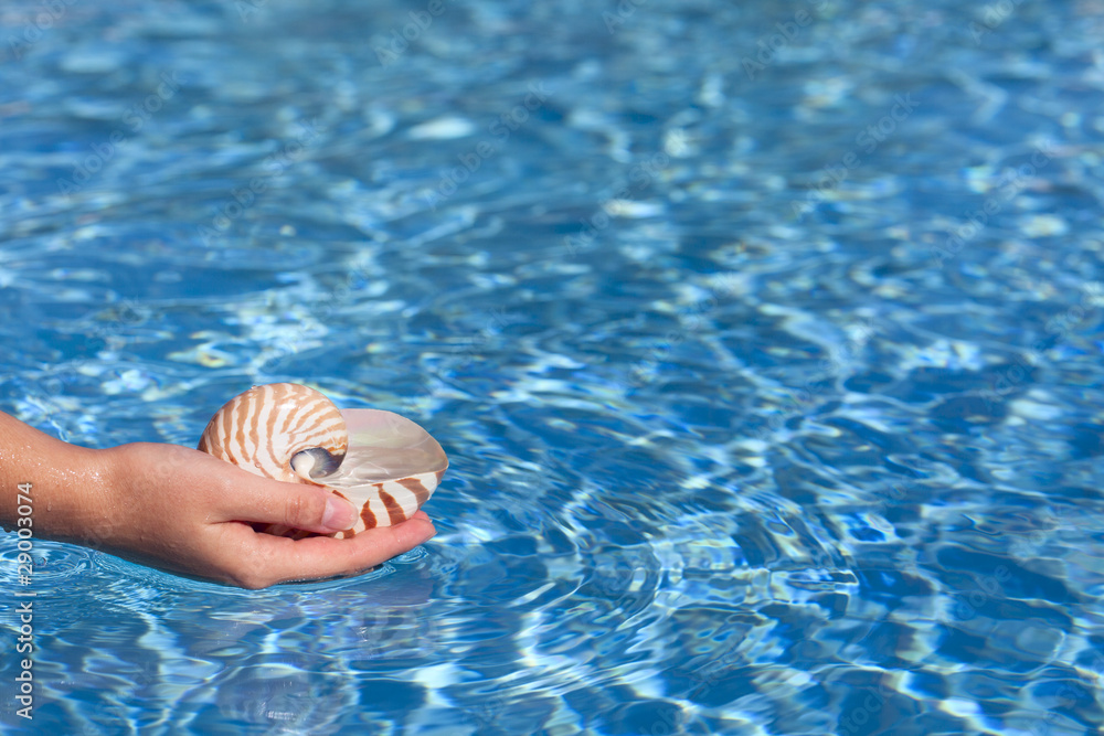 girls hand holding nautilus shell full of water against deep blu