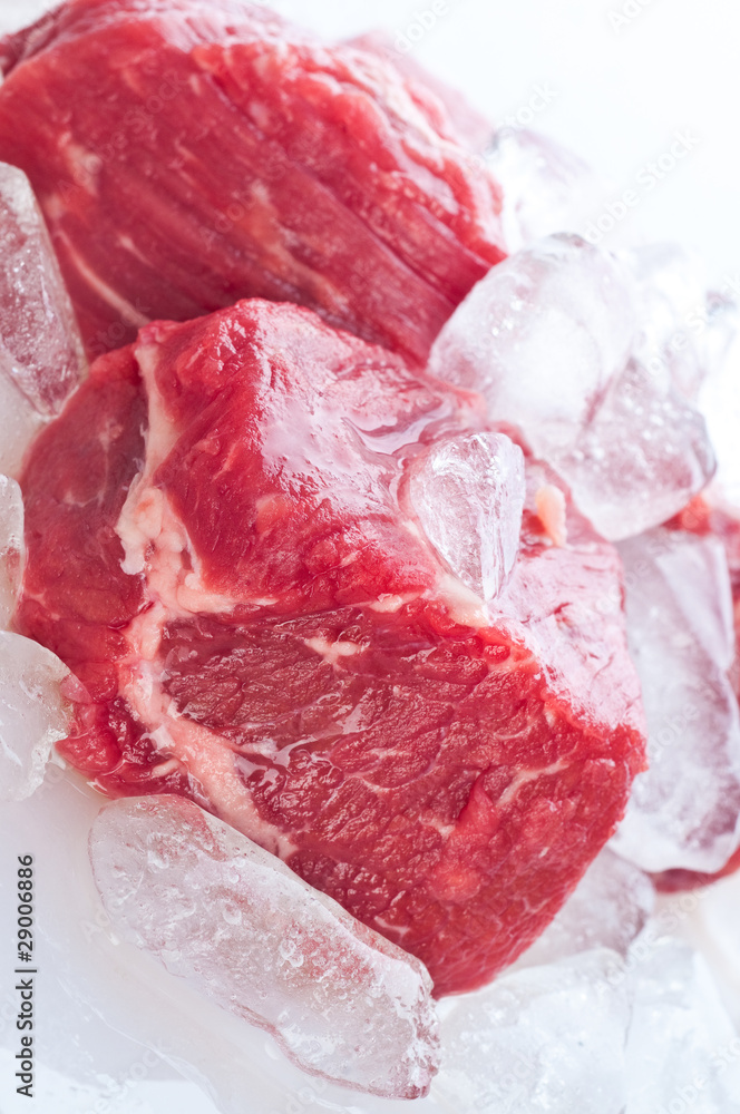 fresh meat fresh meat