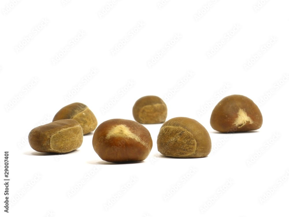 Obraz premium chestnuts