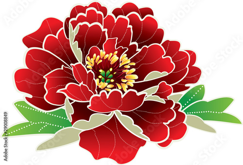 Red peony -vector