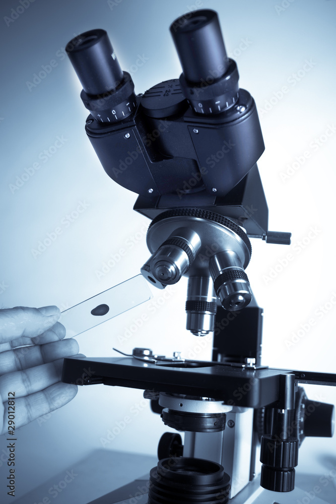 Microscope Microscope