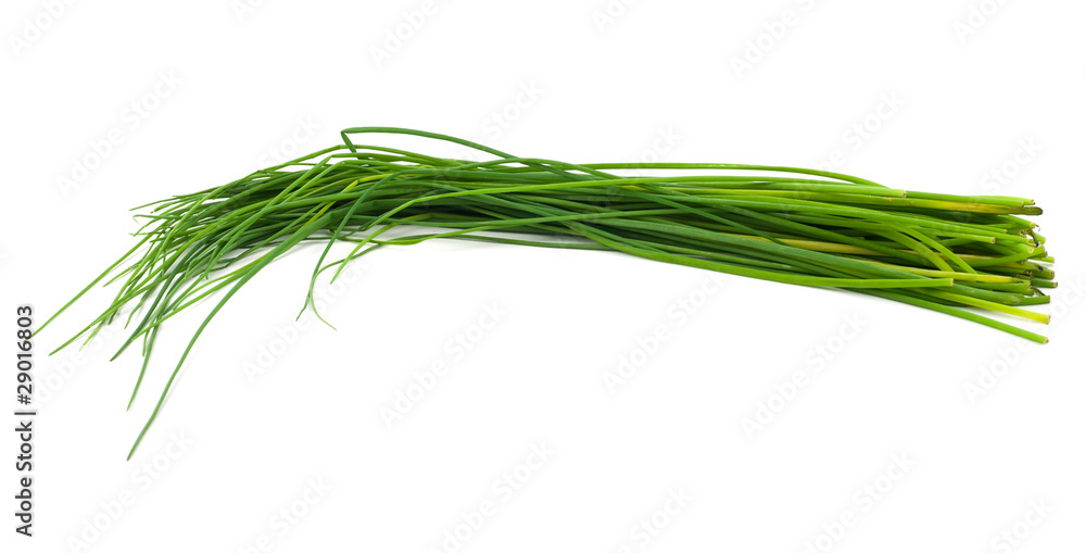 Chives Chives