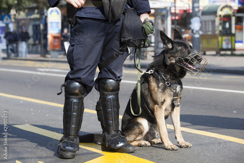 Obraz na plátně police dog