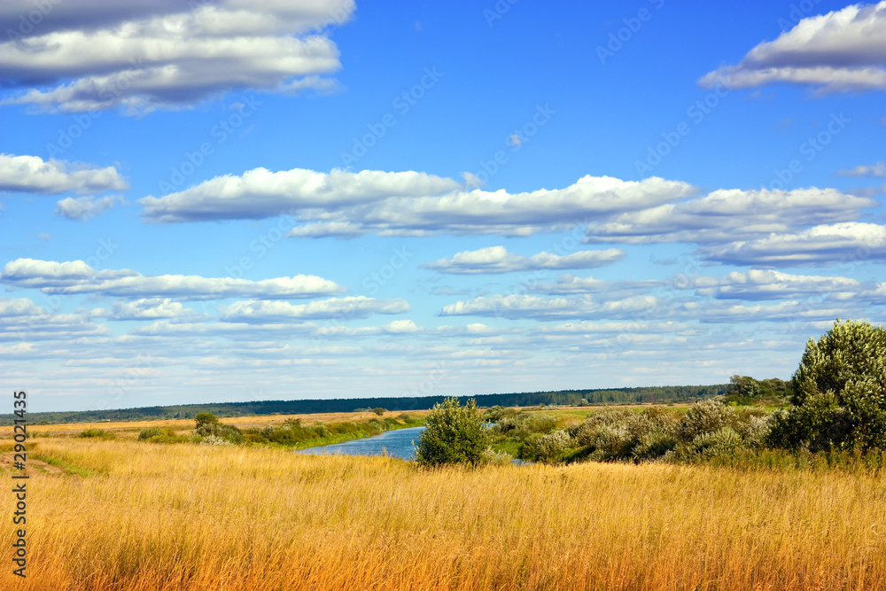 Summer landscape