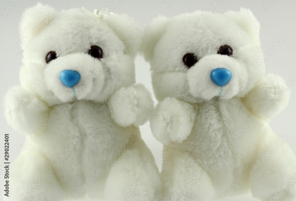 oursons blancs oursons blancs