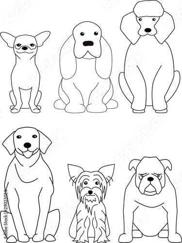 Vector dog collection