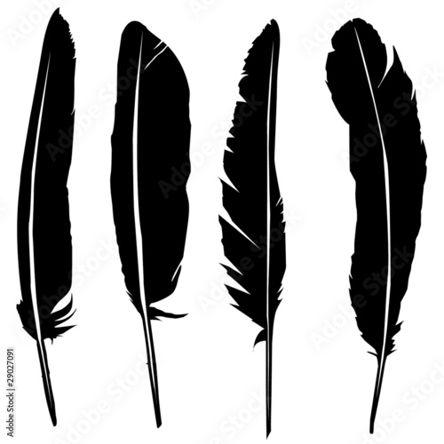 feather