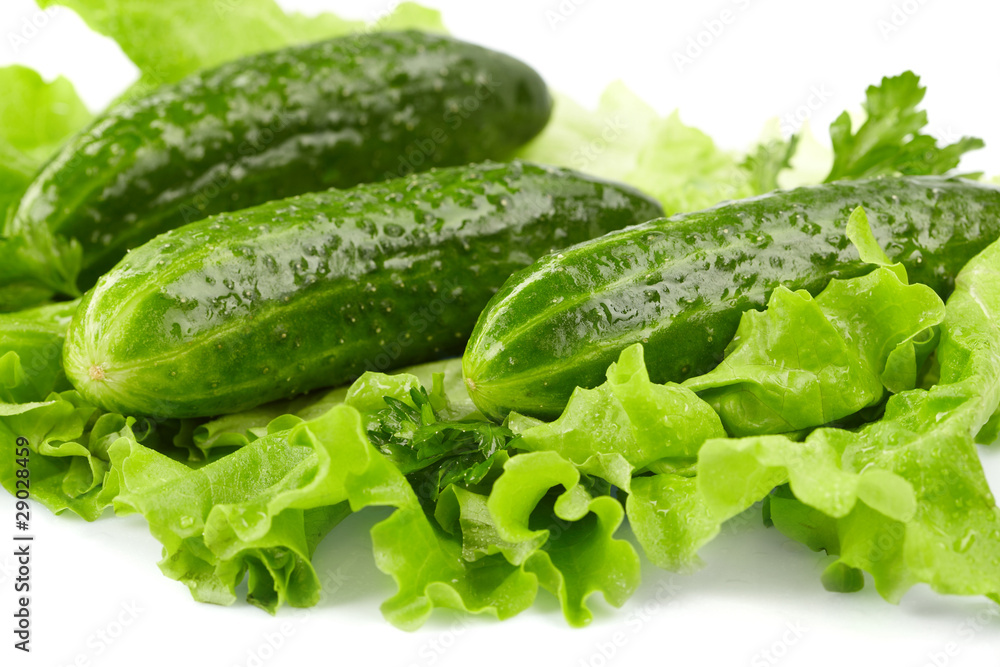cucumbers and lettuce on the white background cucumbers and lettuce on the white background