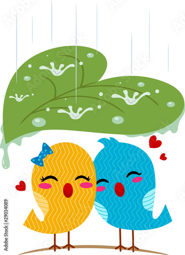 Lovebirds Sheltering From the Rain