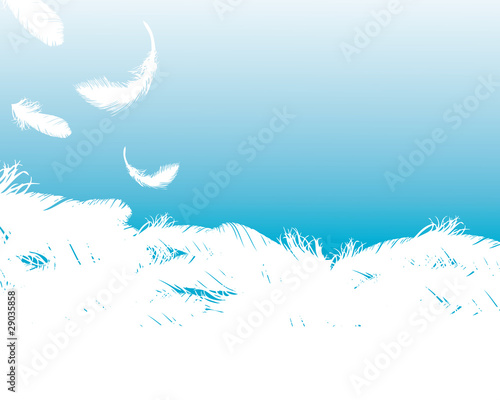 feather background