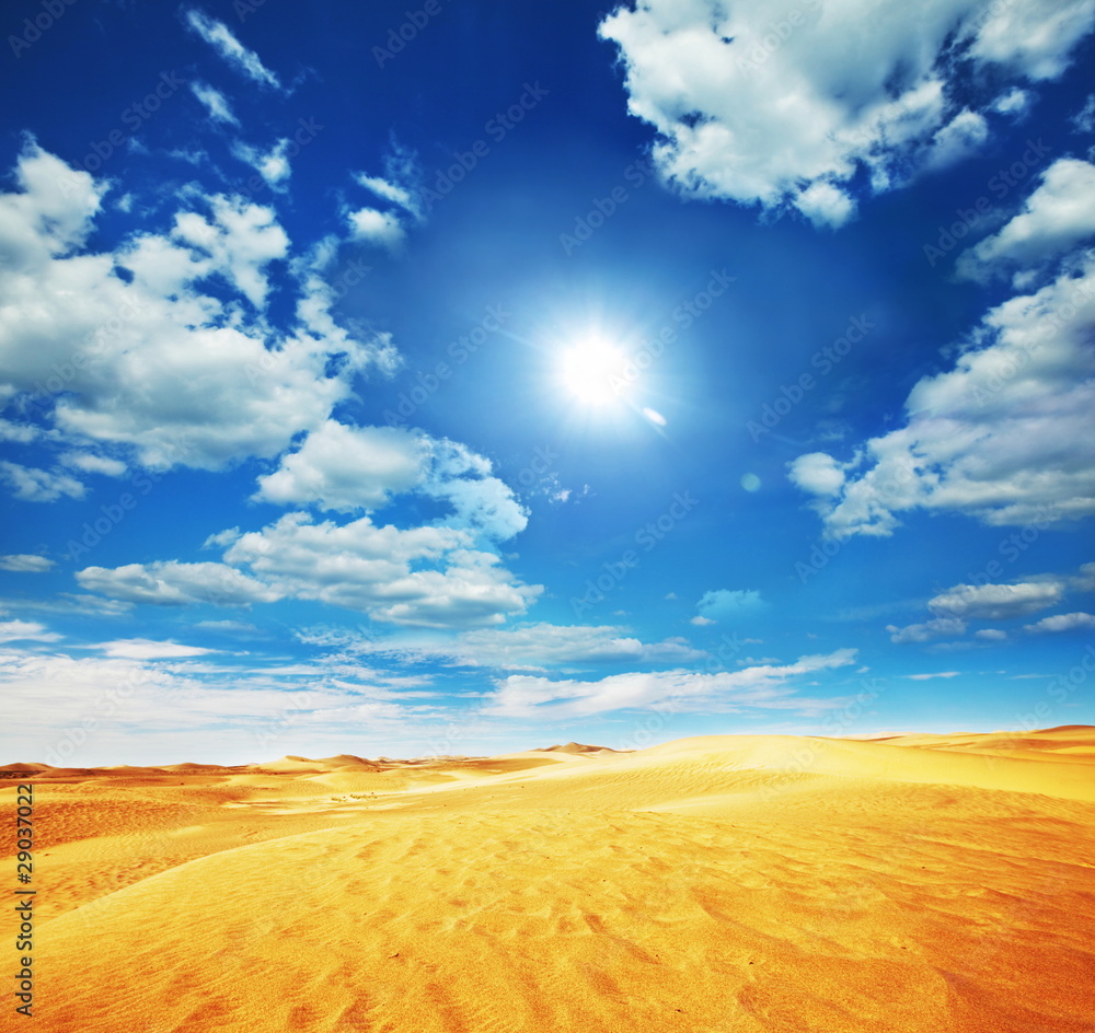 Fototapeta premium Desert