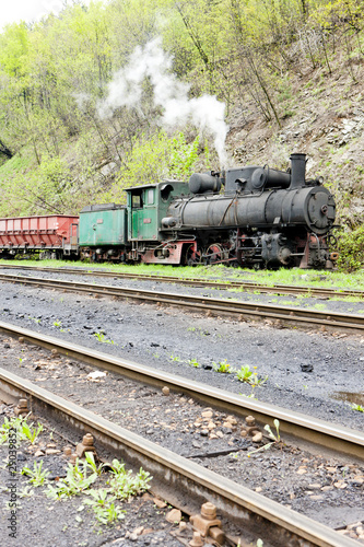 steam freight train, delivery point in Oskova, Bosnia and Herceg