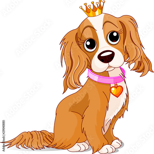 Royalty dog
