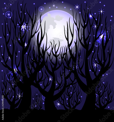 vector illustration of a night scene.