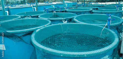 Agriculture aquaculture farm photo