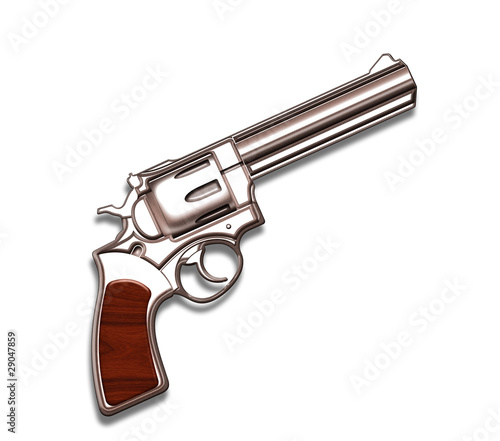 Photography A western style colt
