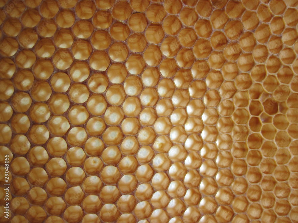 beeswax background