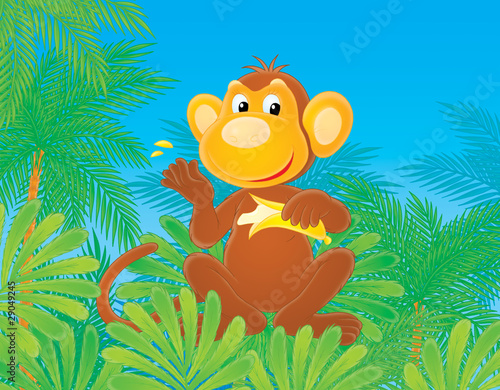 Funny monkey eating a banana sits on a palm tree