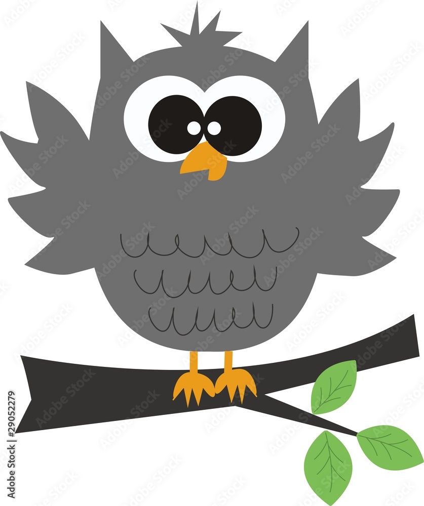 Fototapeta premium a grey owl sitting on a branch