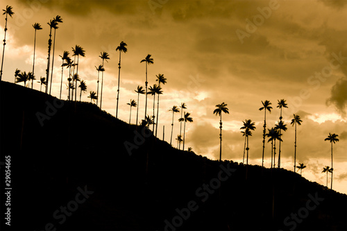 Dramatic sunset in Cocora valley, Colombia photo