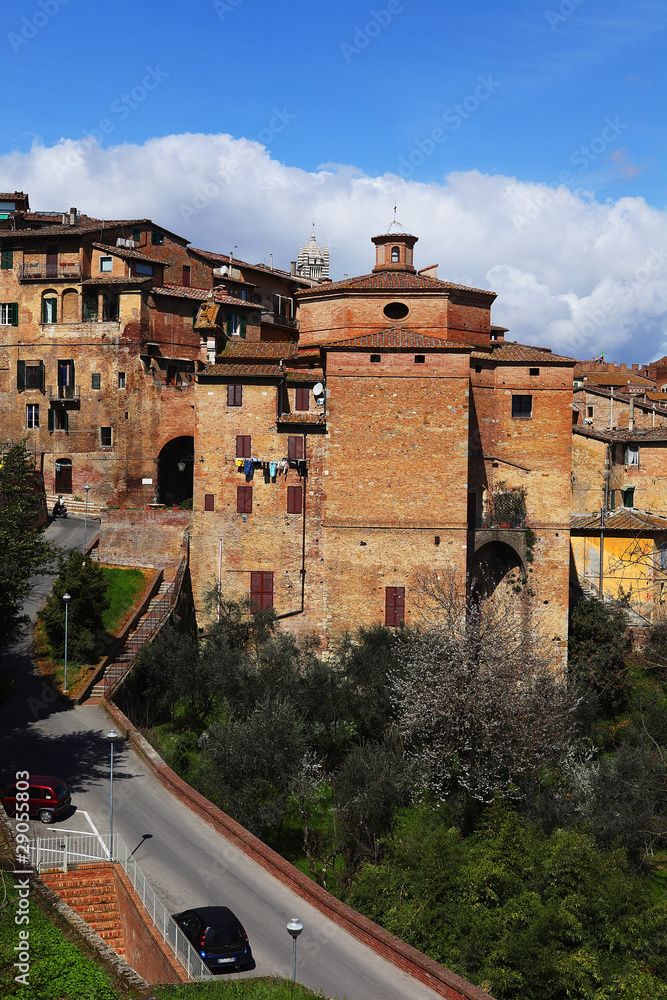 Fototapeta premium paese