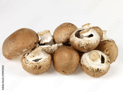 Chestnut Mushrooms