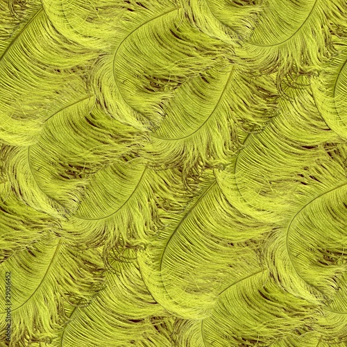 seamless chartreuse feathers