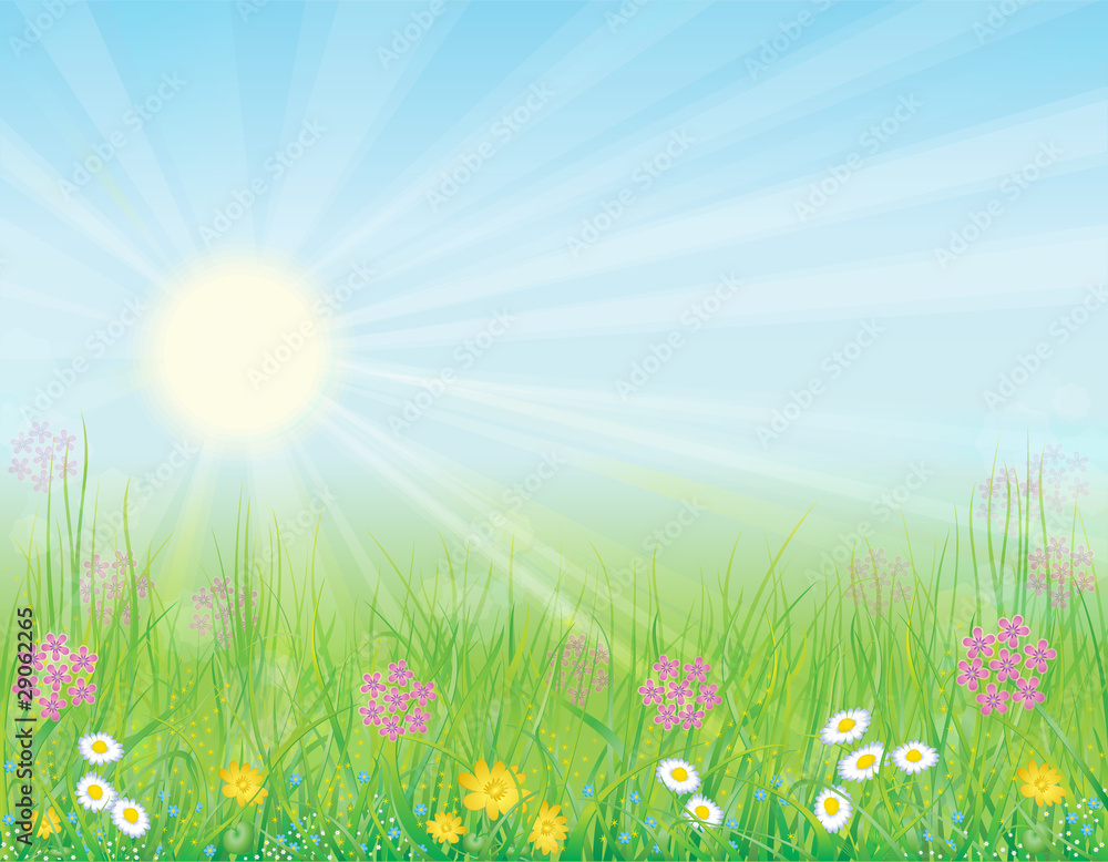 Background with sunny meadow