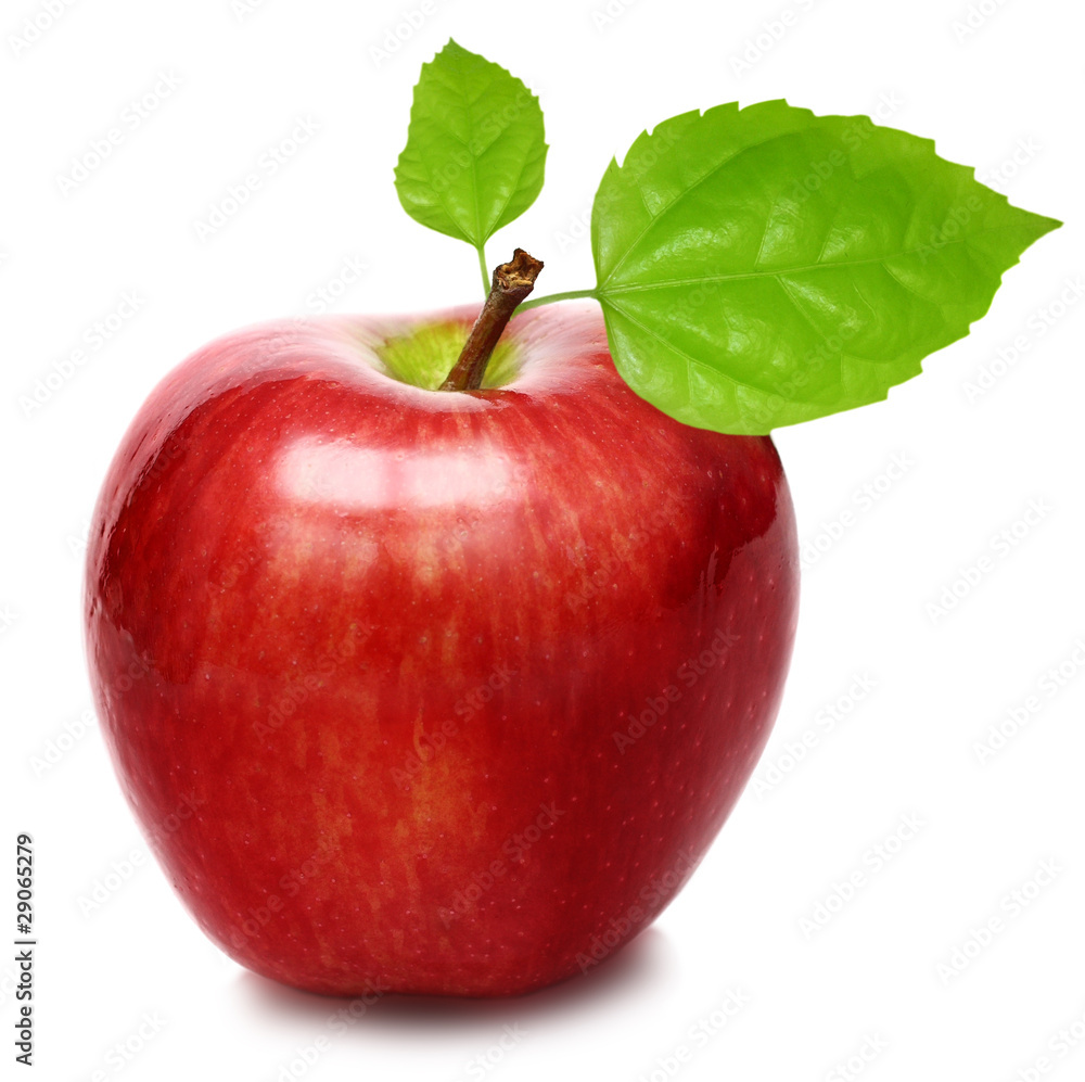 Red apple isolated