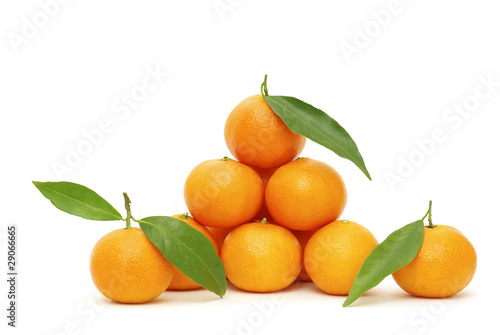 tangerine