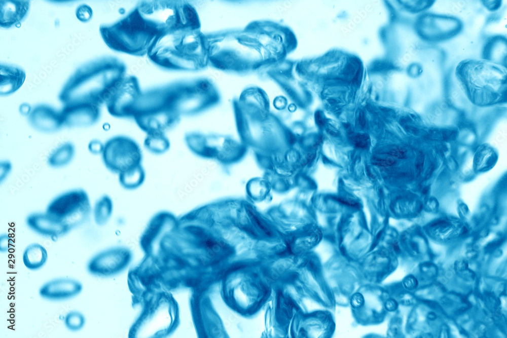 water bubbles water bubbles