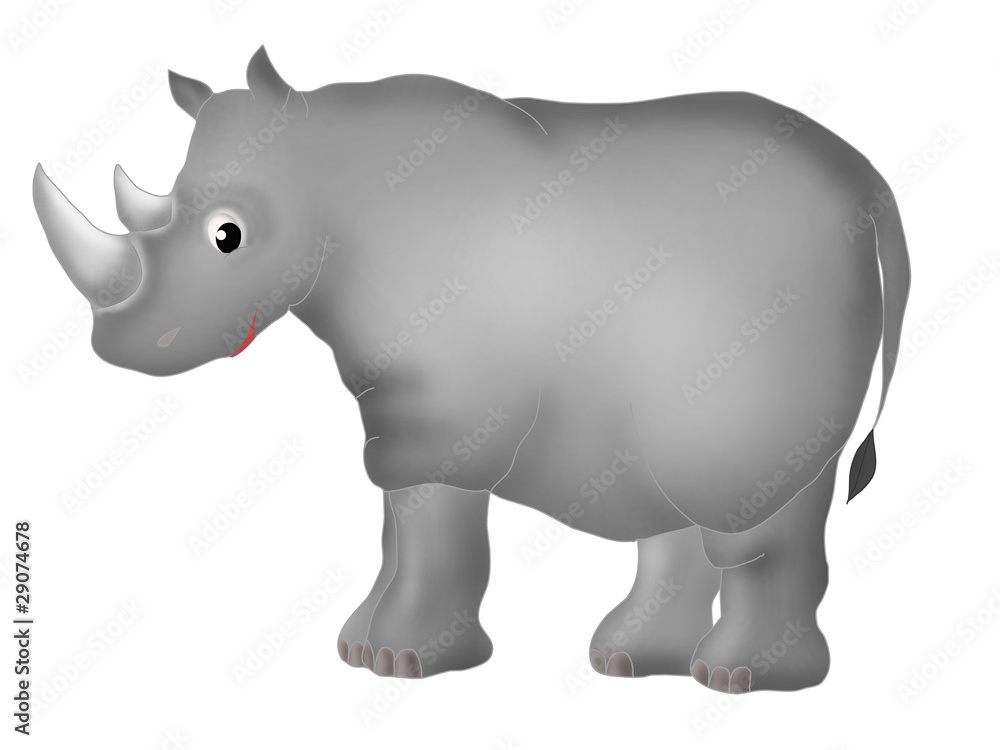 rhinoceros rhinoceros