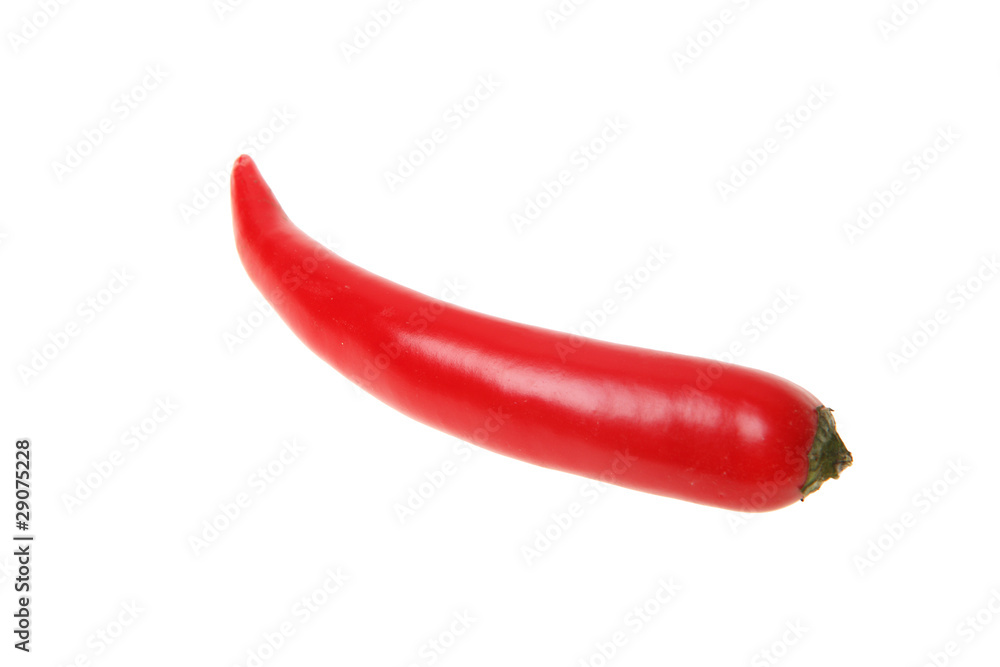 red chili pepper red chili pepper