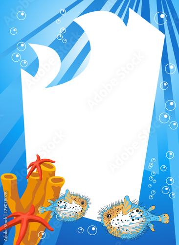 Underwater Life
