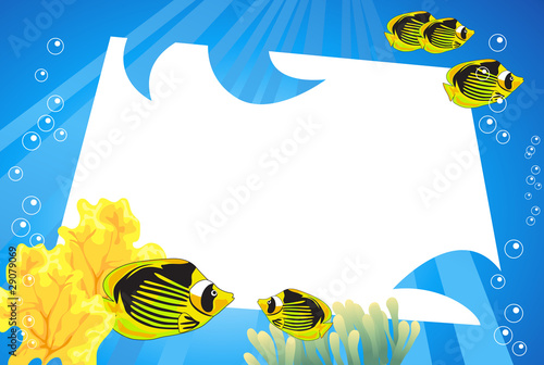 Underwater Life