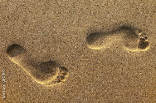 footsteps on beach in sandy
