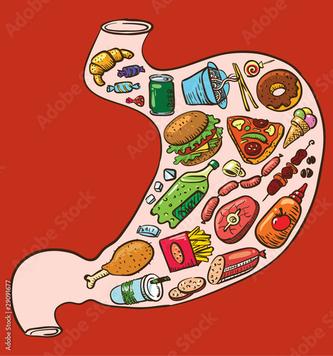 Fast food stomach