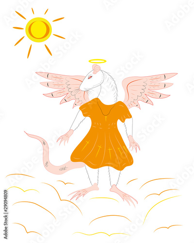 Rat the angel on clouds.