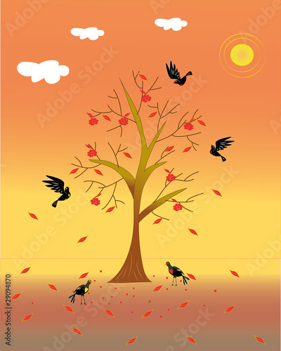 Graceful tree about which the birds are fed.
