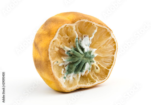 Obraz na plátně moldy lemon