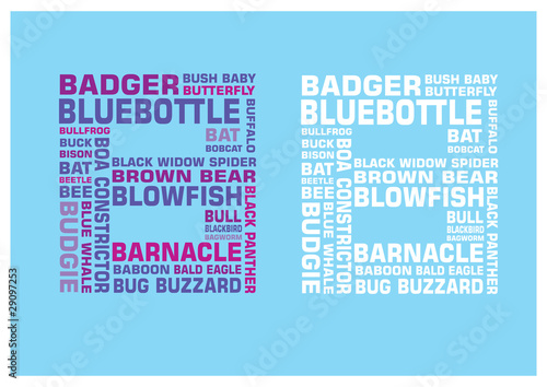 Animal Alphabet B