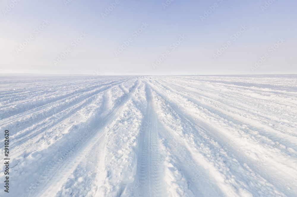 Snowy tracks