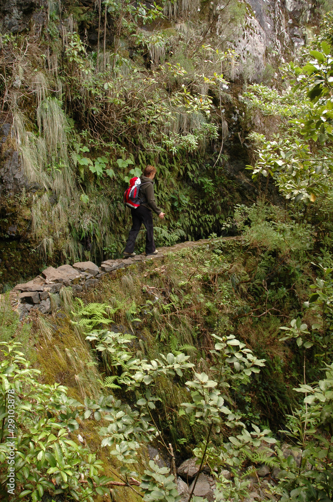 An der Levada de Furado, Madeira An der Levada de Furado, Madeira