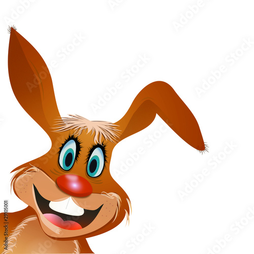 hase toon