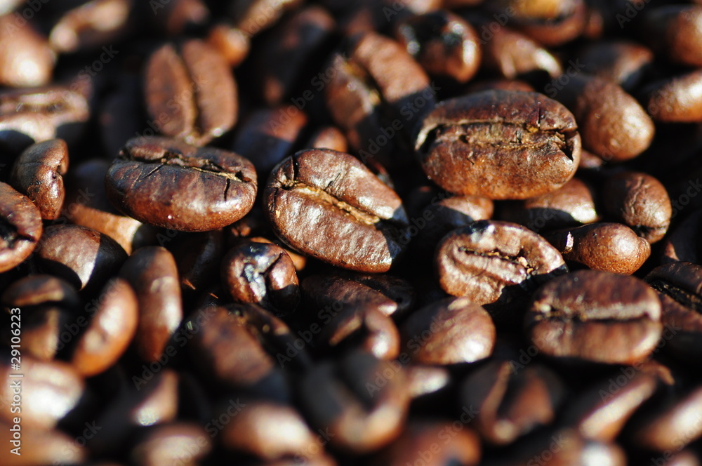 Fototapeta premium Kaffeebohnen