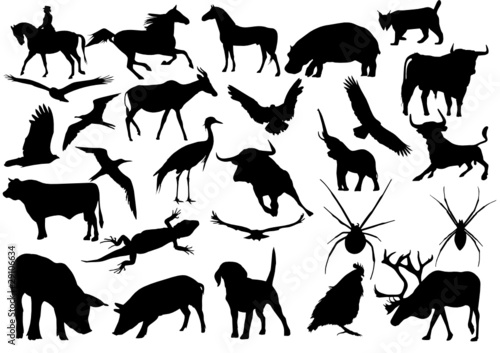 27 siluetas de animales vectorial