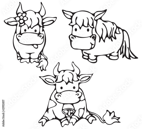 Cute small cows and horse