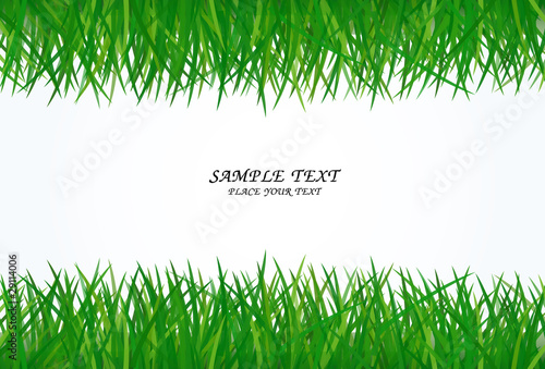green grass frame with text area copyspace isolated
