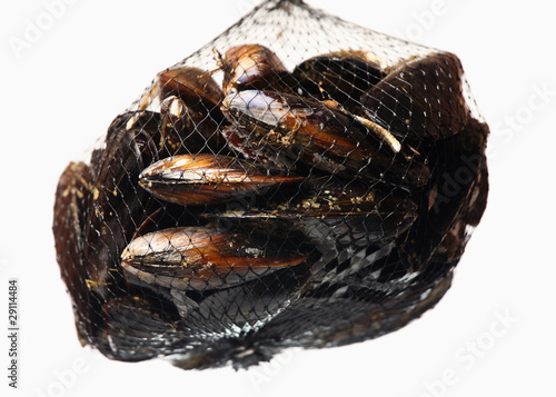 Net of mussels © Kalim