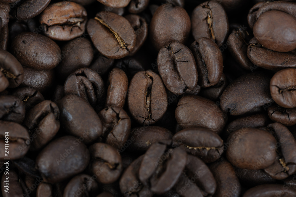 Fototapeta premium Coffe